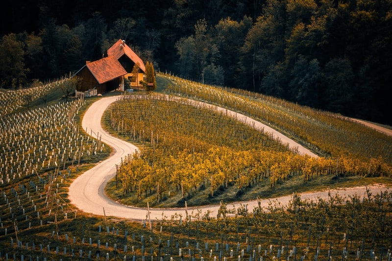 Scenic Landscape