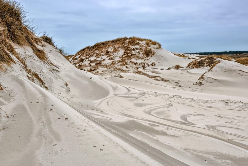 Desert dunes